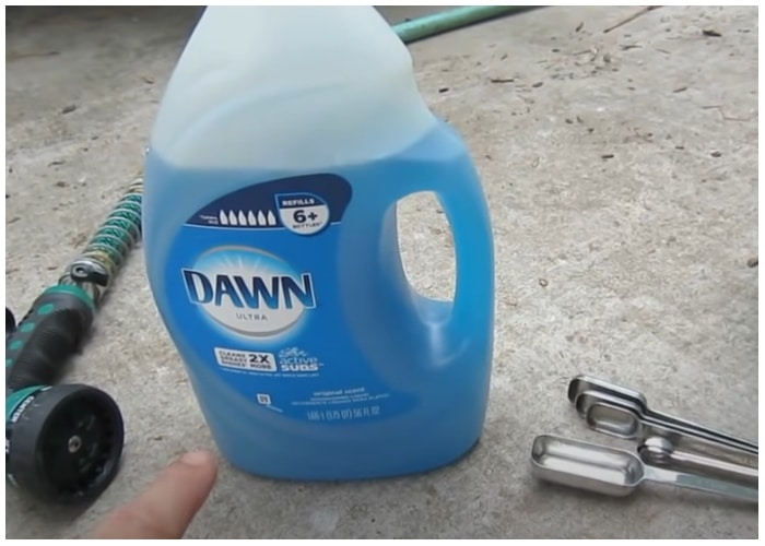 Different Uses For Dish Soap That Will Make Your Life Easier avocadoposts